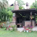 Nirvana