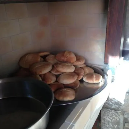 شقة فندقية Nirvana غوجيك