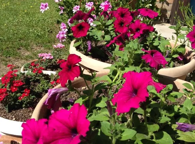 Nirvana 아파트호텔 교젝