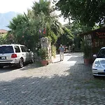 Nirvana 교젝