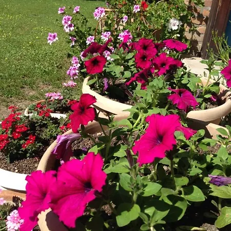 Nirvana Apart Otel Göcek