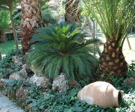 Apart Otel Nirvana Göcek