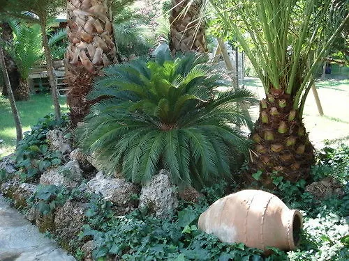 Hotel de apartamente Nirvana Göcek